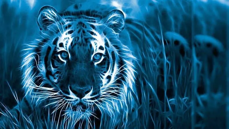 Талисманы 2022